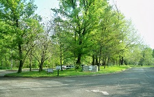 Left turn towards Miller Building